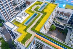 Explore how Hoensoey Cells and HT-508 trays can enhance your green roof projects. Learn about the unique benefits and real-world success stories, and discover why these systems are the preferred choice for sustainable urban development.