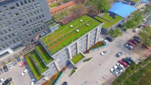 Explore how Hoensoey Cells and HT-508 trays can enhance your green roof projects. Learn about the unique benefits and real-world success stories, and discover why these systems are the preferred choice for sustainable urban development.