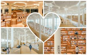 A view from inside the library, illustrating the natural lighting and ventilation solutions, where small operable windows within the terracotta facade enhance comfort and energy efficiency.